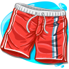 Swimming Shorts