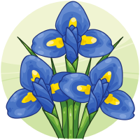 Blue Bearded Irises
