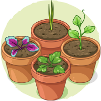 Developing Plants