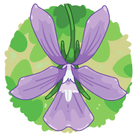 Horned Pansy Flower